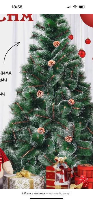 Elka Archa елка арча