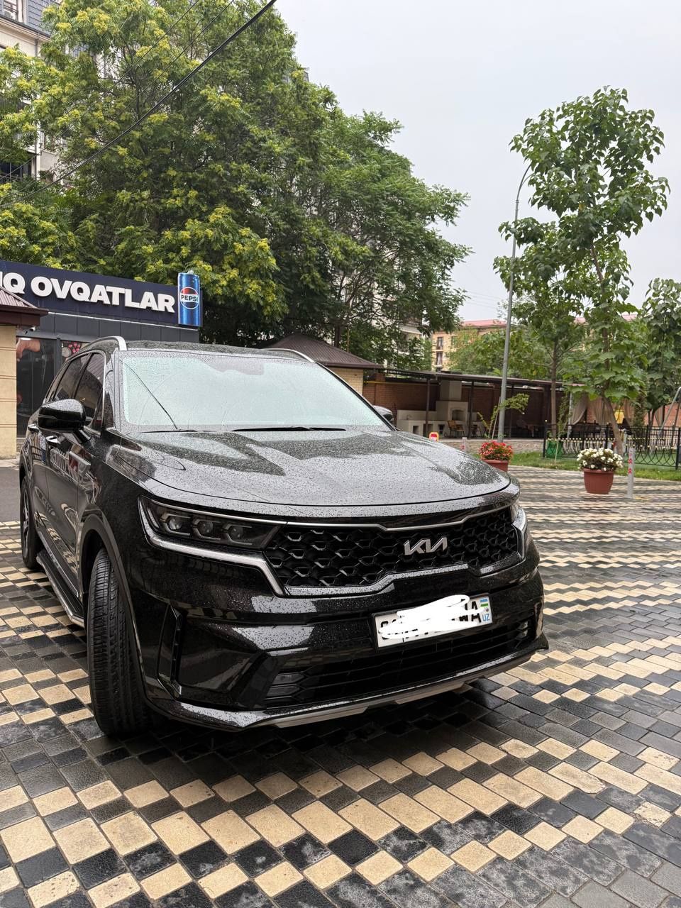 Kia Sorento Prestige special 2022 год
