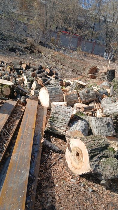 Продам дрова готовые