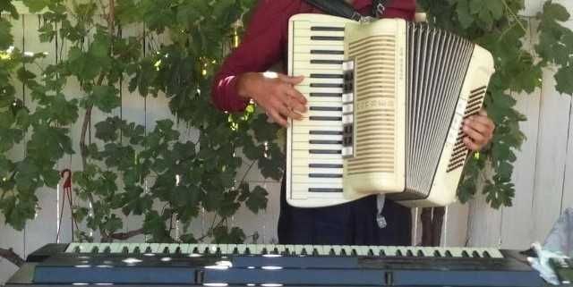 Lautar-Muzicant-Petrecere Zona Galati-Tecuci-Vrancea