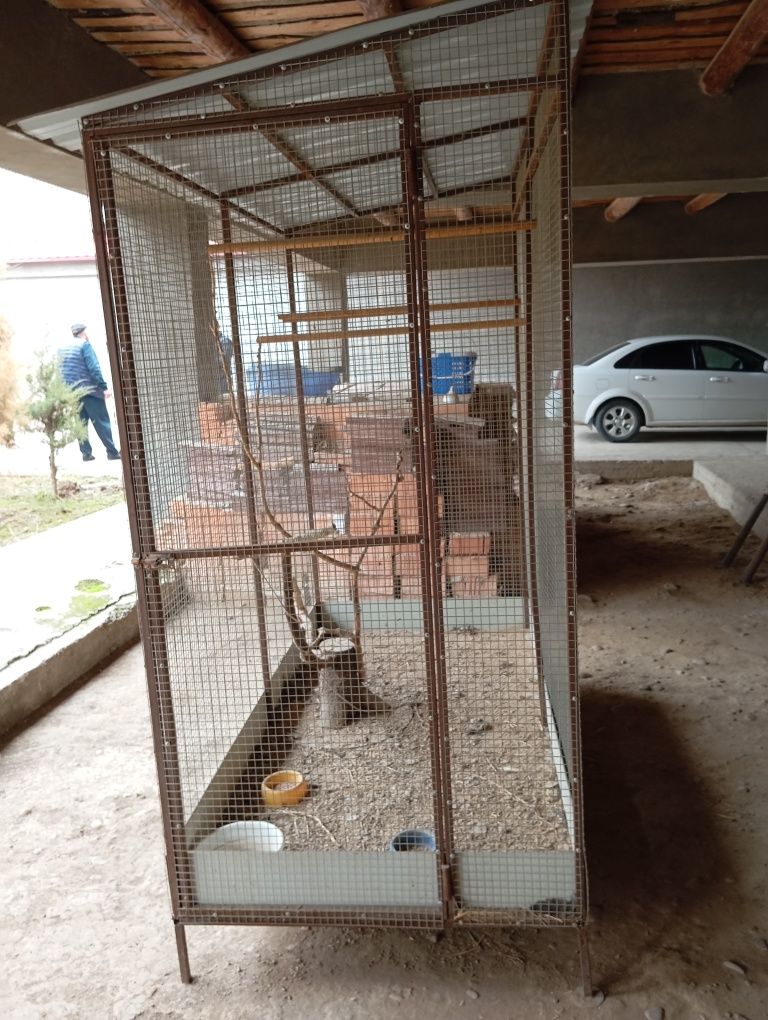 In sotiladi papugay va tovuq boqsa boladi