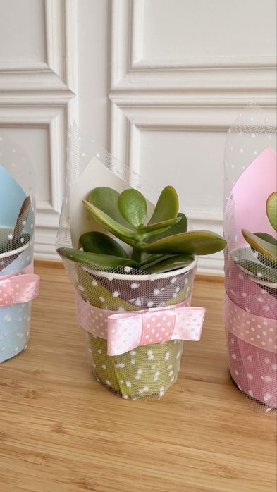 Тойбастар, учителю на 1 сентября