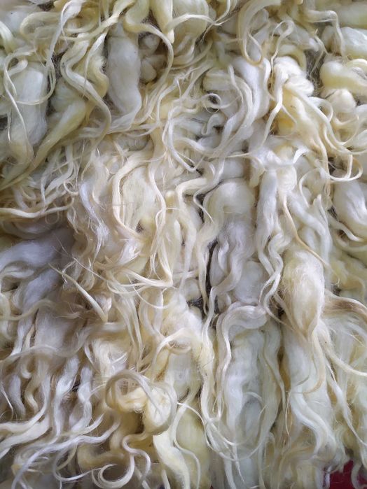 Чипровски пътеки, Котлетнски килими, китеници, халища-чисто нови