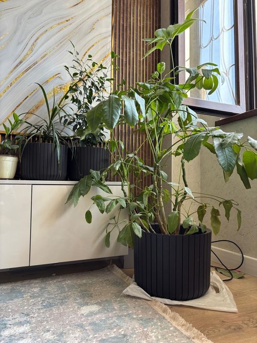 Продается цветы разние длина 1м 30см