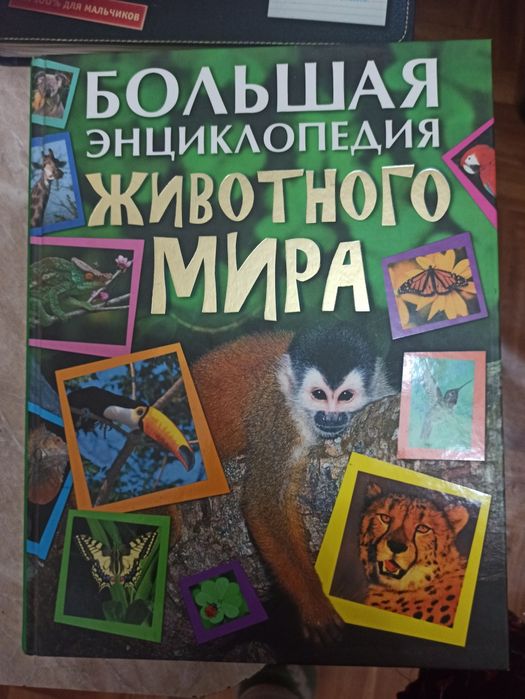 Большая энциклопедия животного мира.Новая.