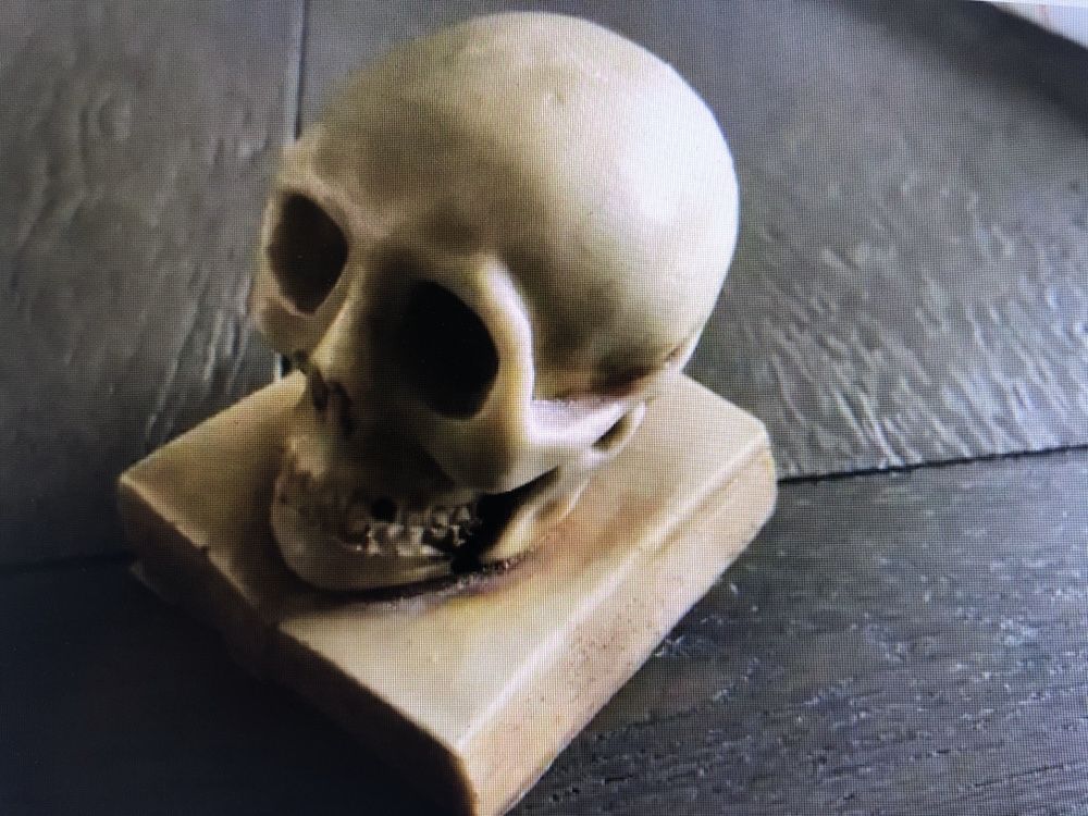 Craniu,skull realistic pe carte deschisa,obiect decorativ