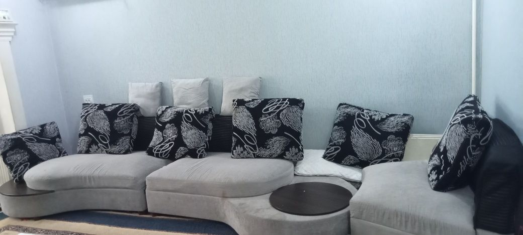 Divan zalga 111111