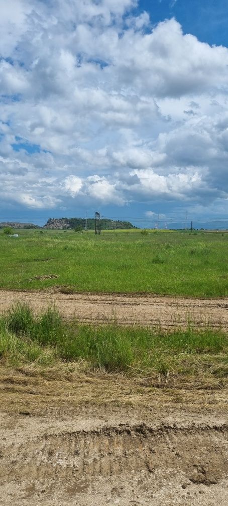 Teren investitie zona Calea Bucuresti 7300 mp