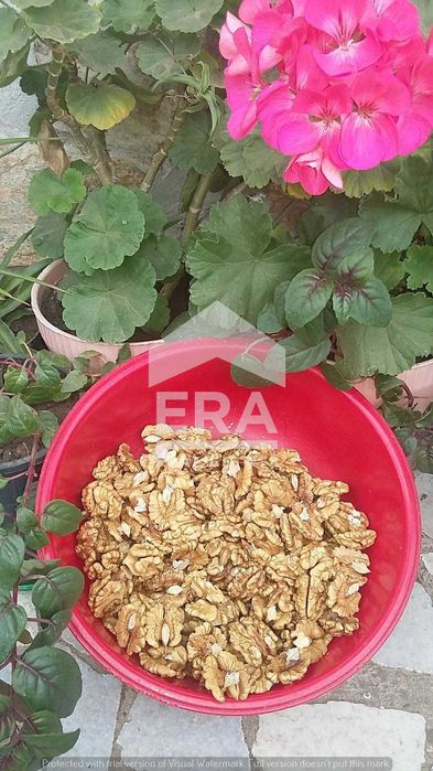 Продава се Земеделски имот в с. Семерджиево, Област Русе -  кв.м за 2447 €/дка - Снимка #3