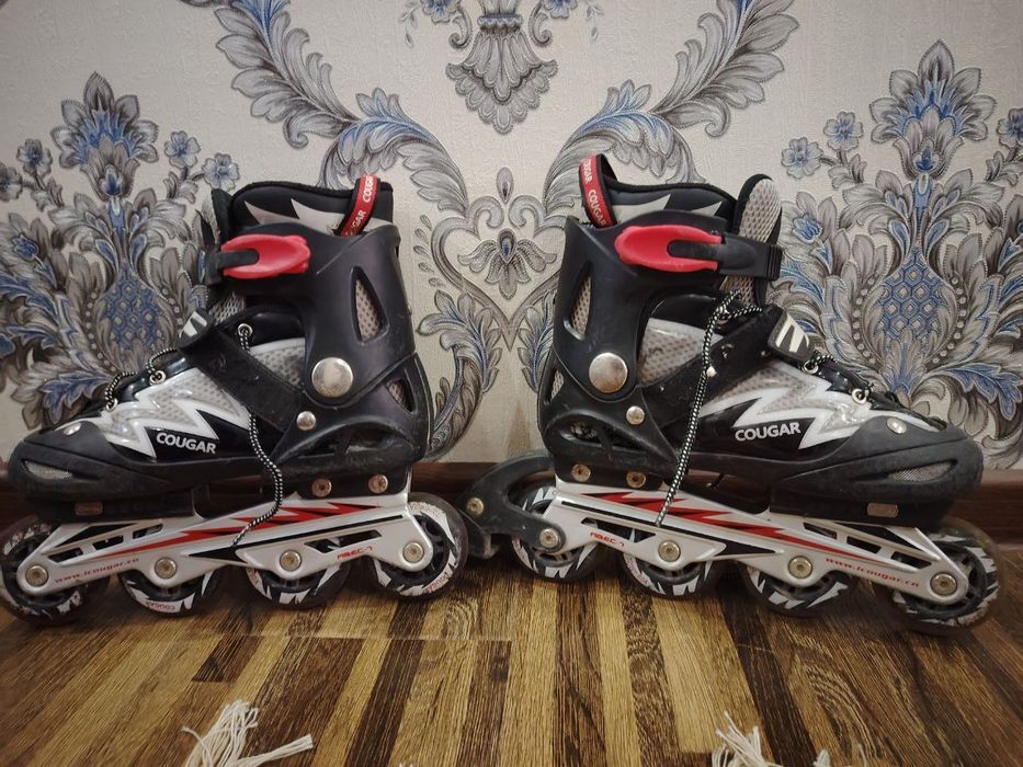 Caugar firmadan sifatli roliklar sotaman