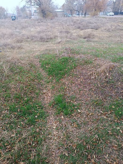 Земельные участок