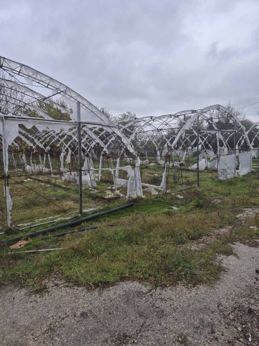 Оранжерия Асеновградска