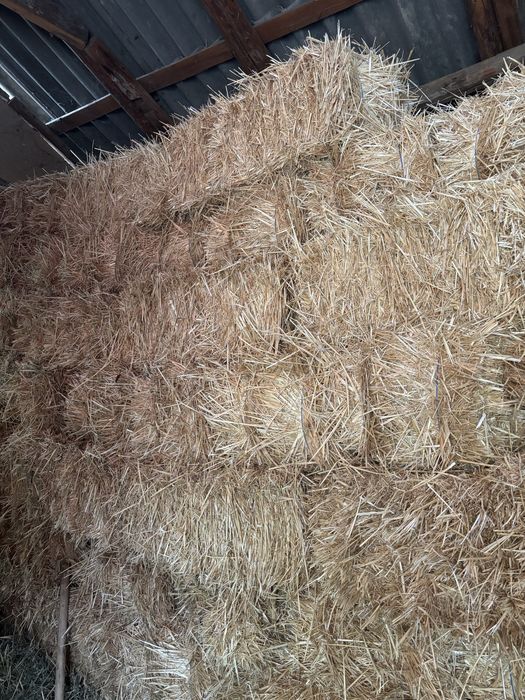 Vând baloți de paie