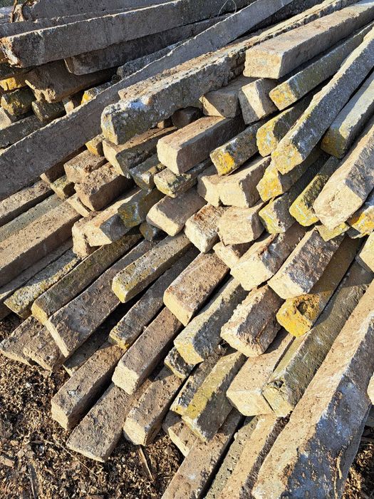 spalieri beton pentru vie sau gard