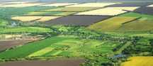 Vand societate agricola 40 hectare Bailesti