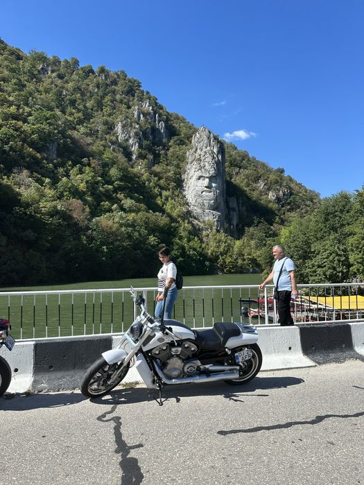 Harley Davidson VRod Muscle