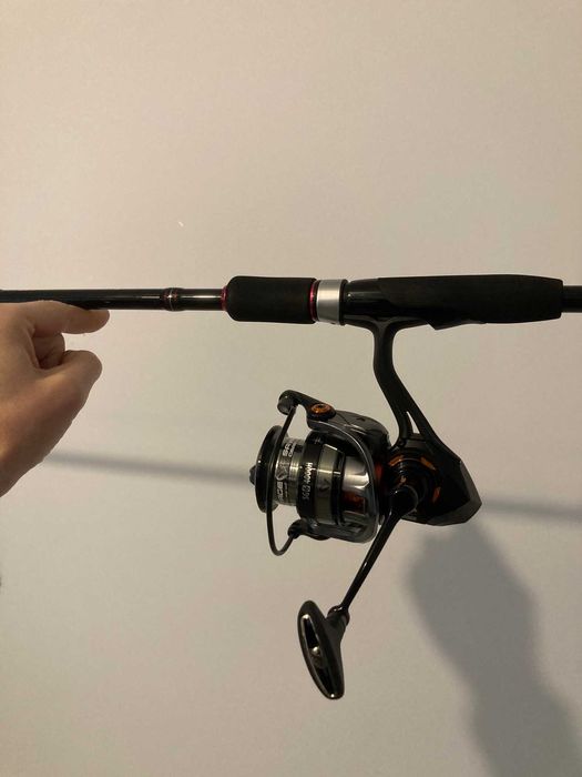 Combo Ryobi Applause 2.92m 20-80g + SG6 4000H