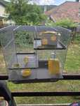 Cusca pentru hamsteri