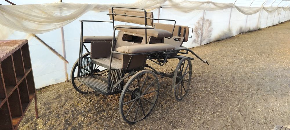 Trăsură Maraton de vânzare