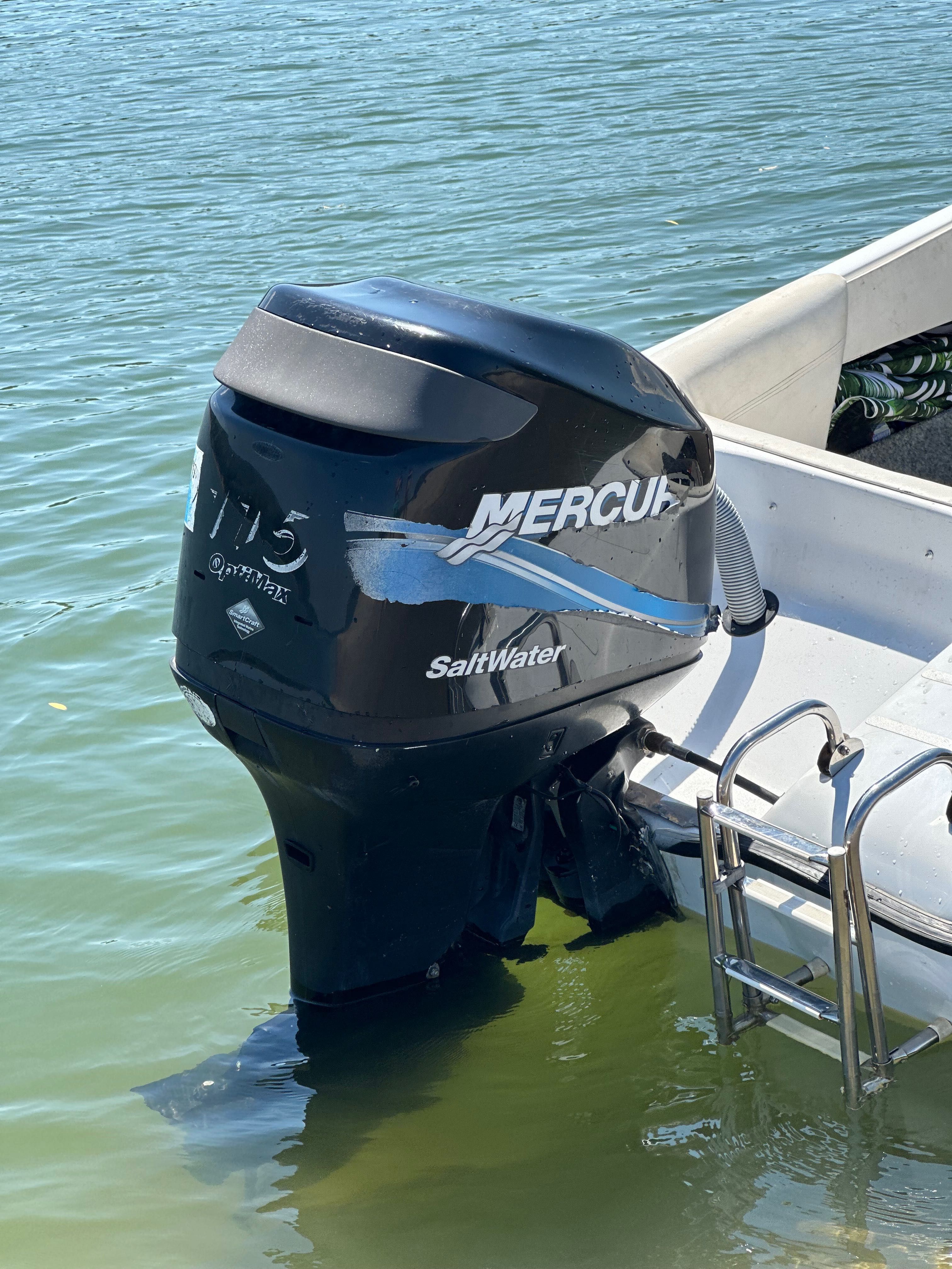 Mercury 115 optimax