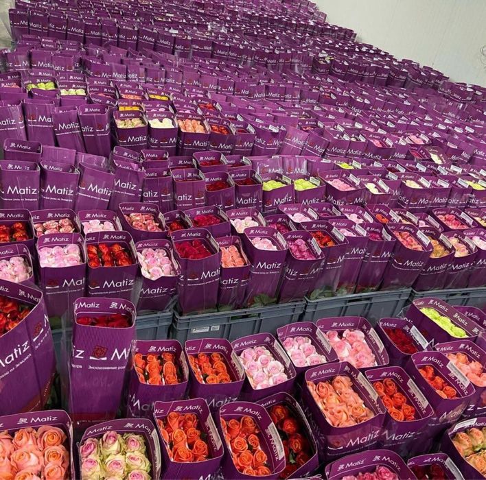 Пионы, Розы со склада