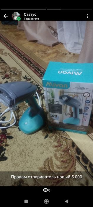 Отпариватель для вещей