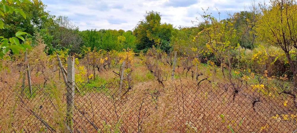 Продава се Парцел в Ямбол, Промишлена зона - 1000 кв.м за 7 €/кв.м - Снимка #8