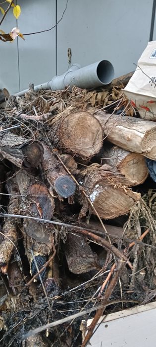 Vând urgent. Lemne .