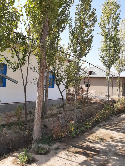 Terak sotiladi narxi kelishiladi