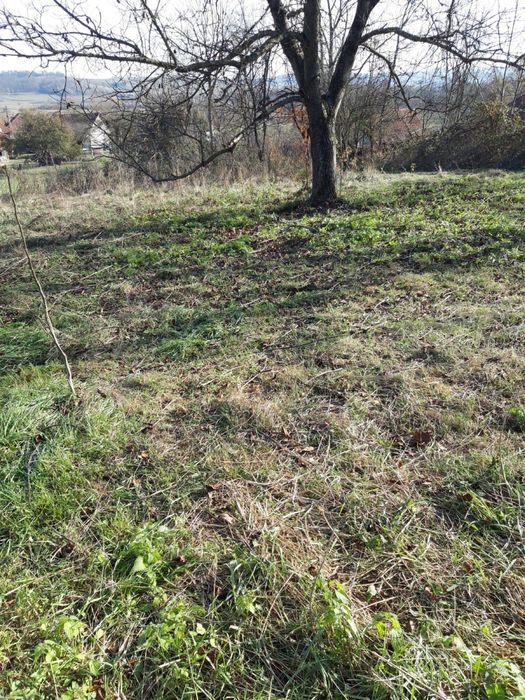 Vand teren intravilan Leasa (Halmagiu)