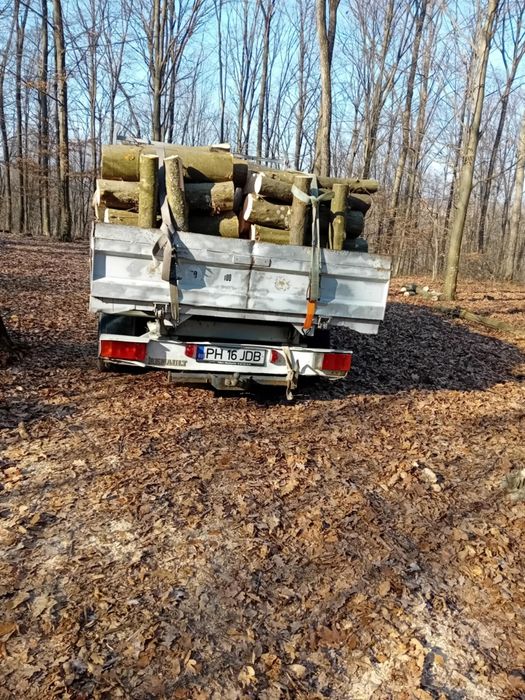 Vând lemne de foc esență tare