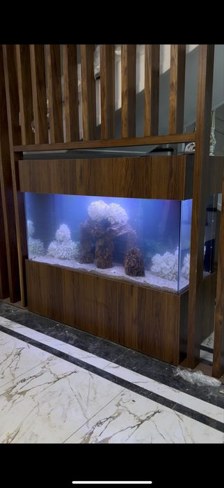 Чистка аквариумов , замена воды аквариума , Профессиональная чистка