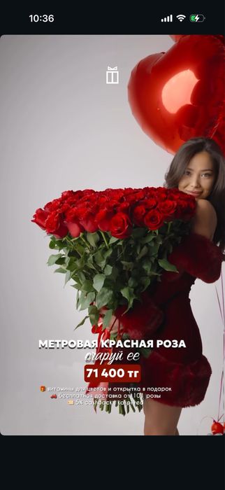 Метровая роза 101