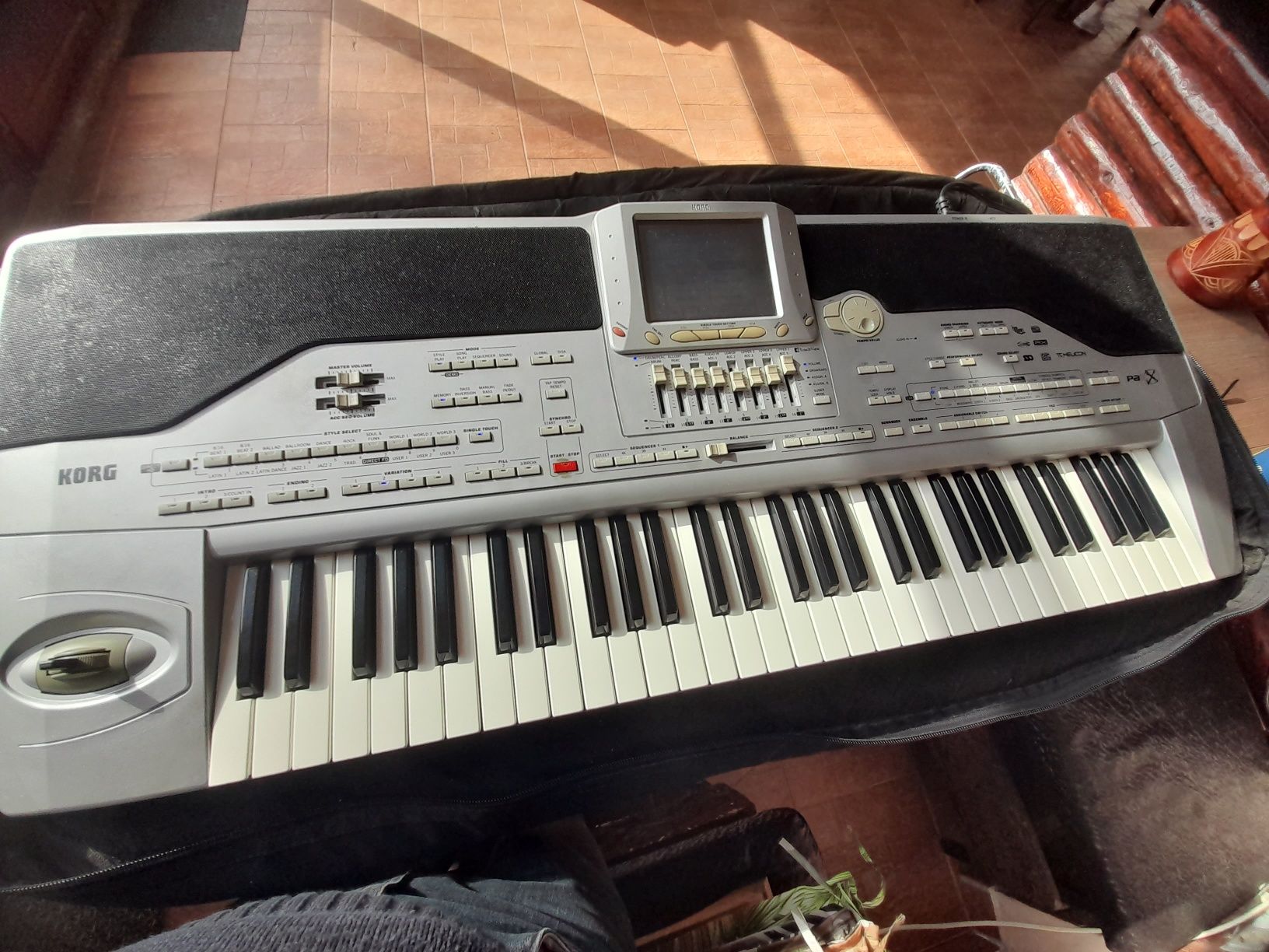 Vand orgă korg pa 1x