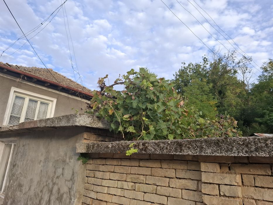 Къща с двор и стопански постройки