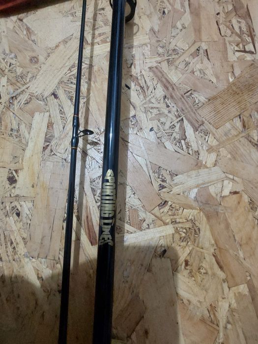 Lanseta sporting lines