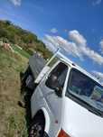 Vand ford transit basculabil
