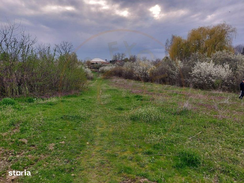 Teren Topoloveni - 3670 mp - langa padure, aproape de Centrul orasului