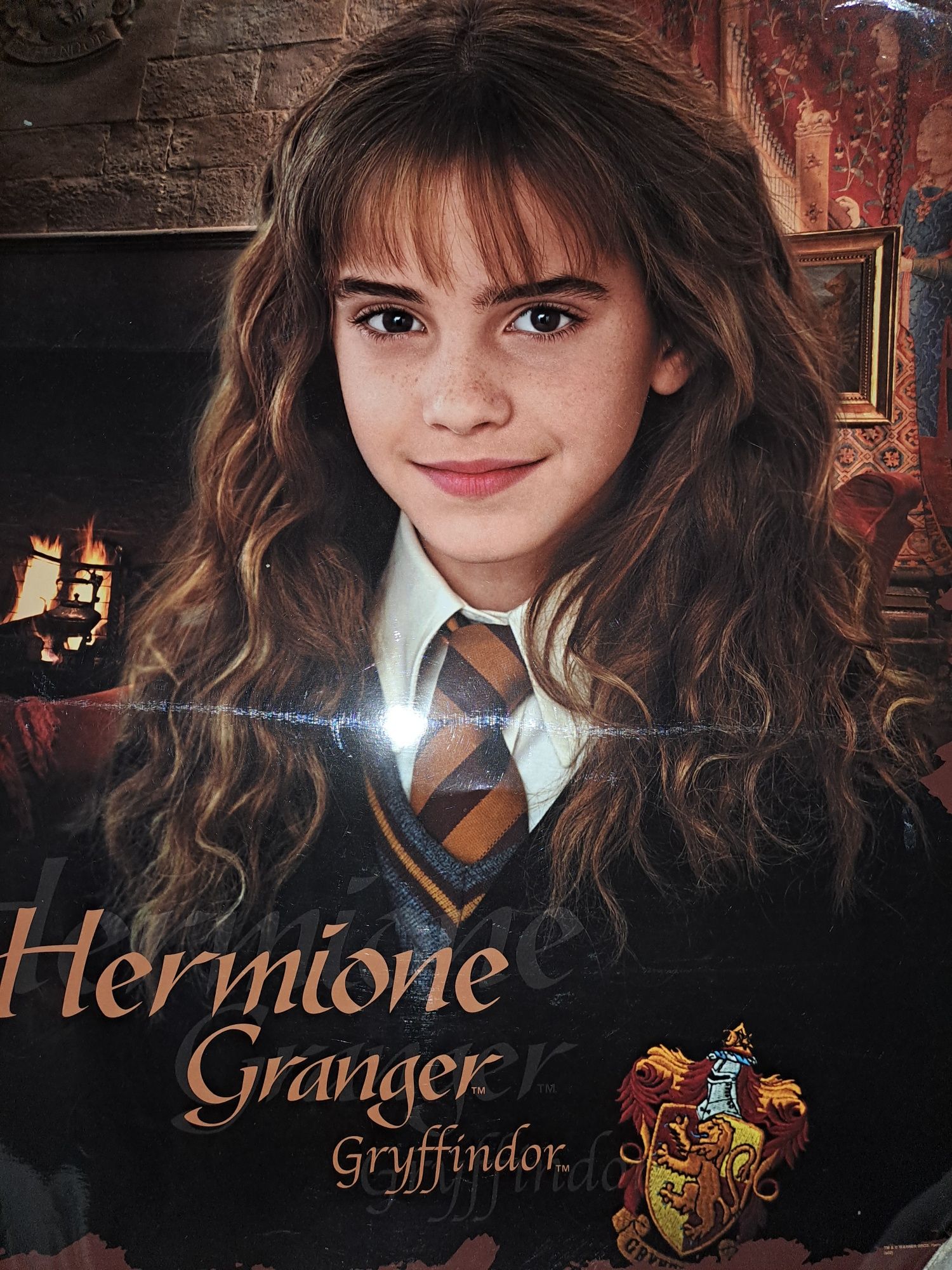 Harry potter afisi/ poster