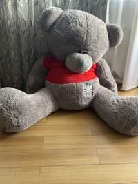 Mishka Teddy bear