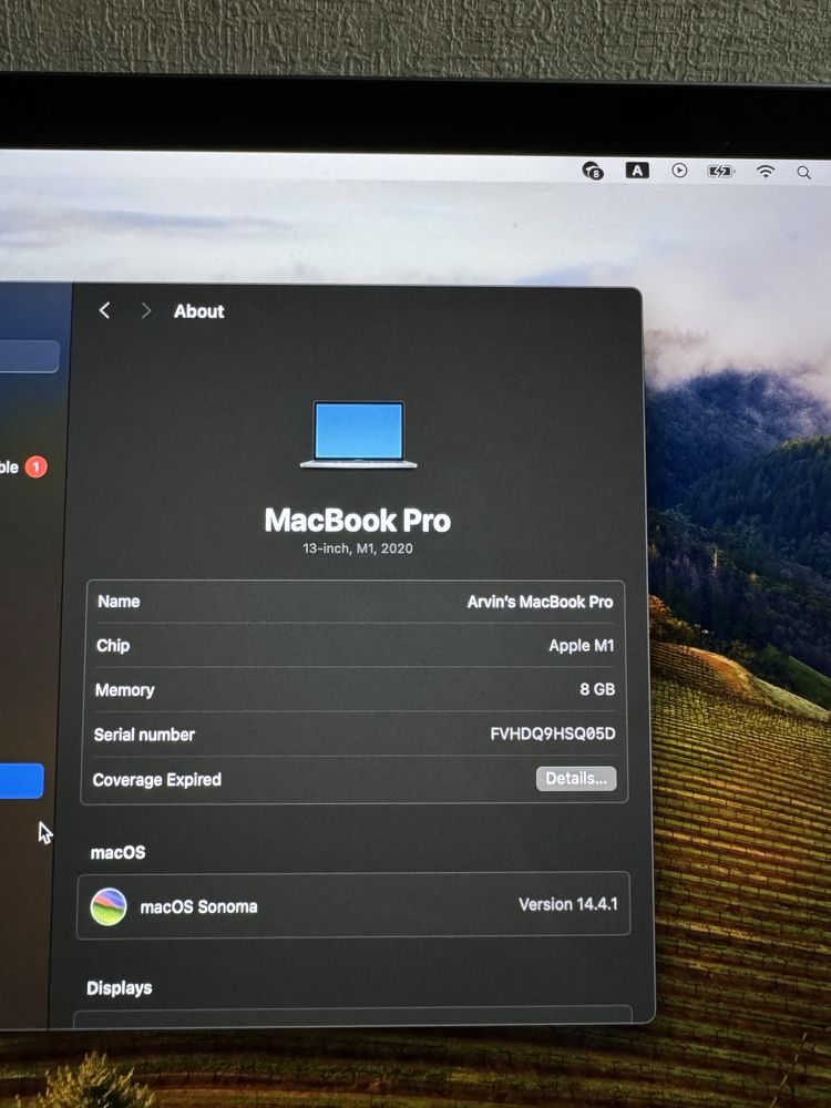 MacBook Pro (97%, 256GB)