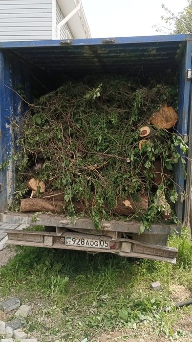 ( Вывоз мусора ) Любого типа мусора