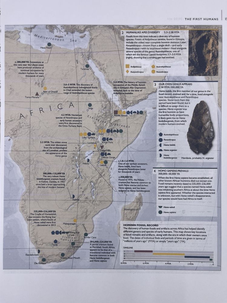History of the World Map by Map (DK History Map by Map)