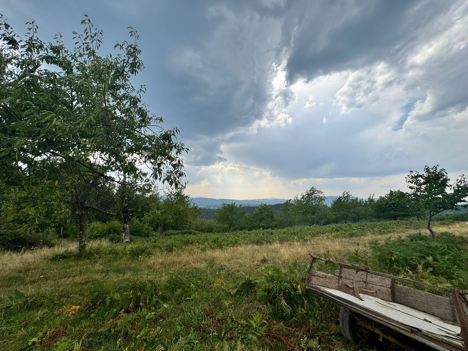 Teren in deal cu vedere panoramica sat Brusturi Com Halmagiu 7000 m2