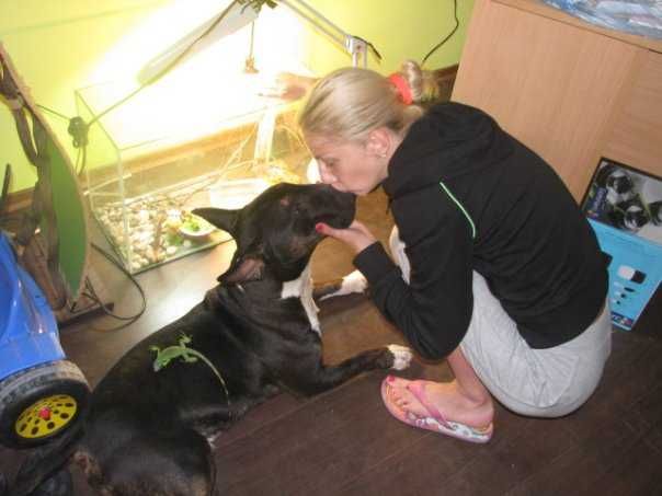 Нова Година БЕЗ СТРЕС от Пиратки Гледане на Кучета и Котки Къща с Двор