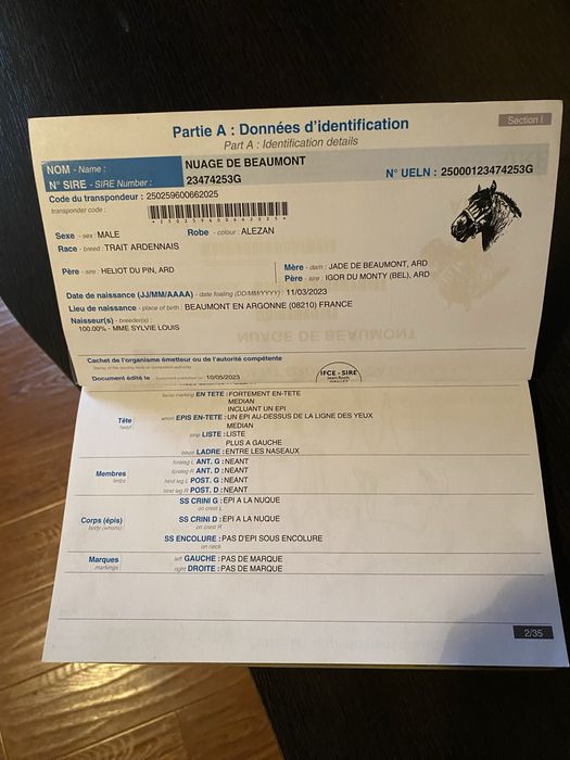 Armasar Ardenez De Monta !