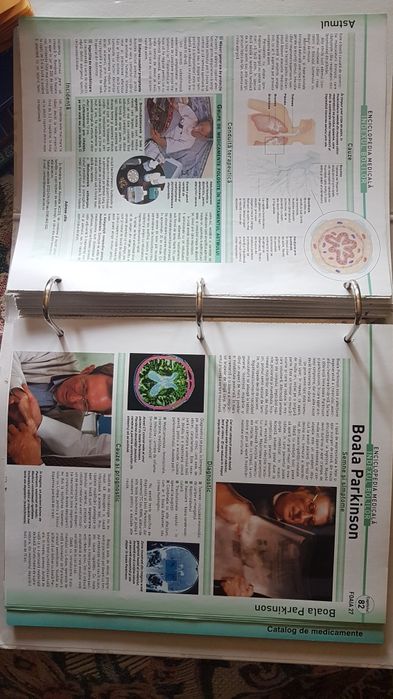 Colectie interiorul corpului uman medicina