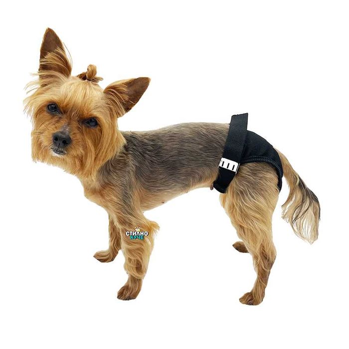 Хигиенни гащи за женски кучета Гащи за женско куче Кучешки гащи