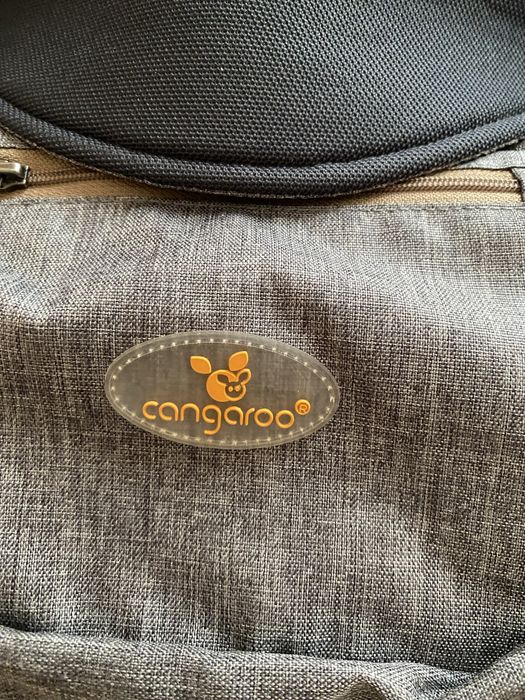 Кенгуру cangaroo