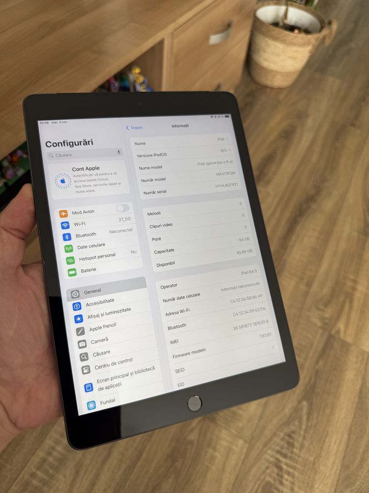 iPad 9th Gen, Wi-FI+Cellular, Grey, 64Gb, iOS 18, husa, frumoasa